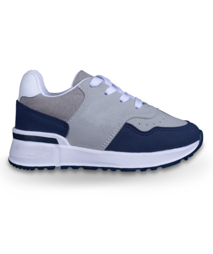 BLUE GREY FALCON
