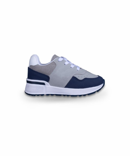 BLUE /GREY FALCON